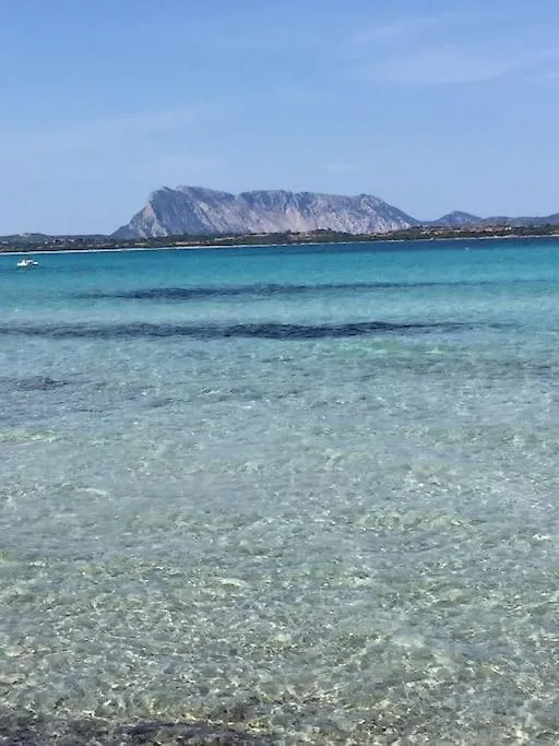 Camera Sole Olbia 0*,